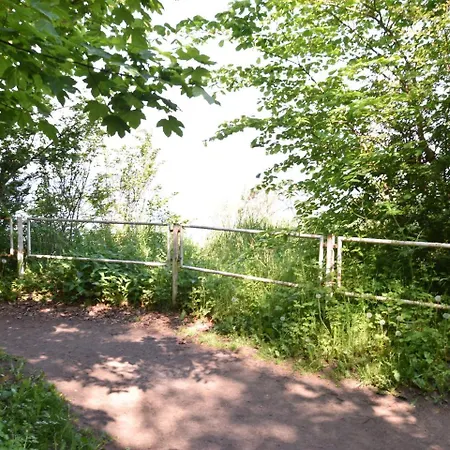 Ferienhaus Das Strandhauschen *